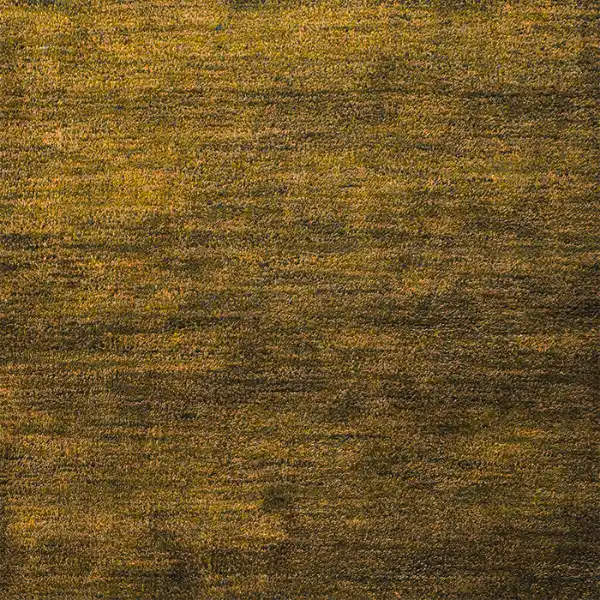 Dark, earthy brown, textured carpet with subtle horizontal striations.
