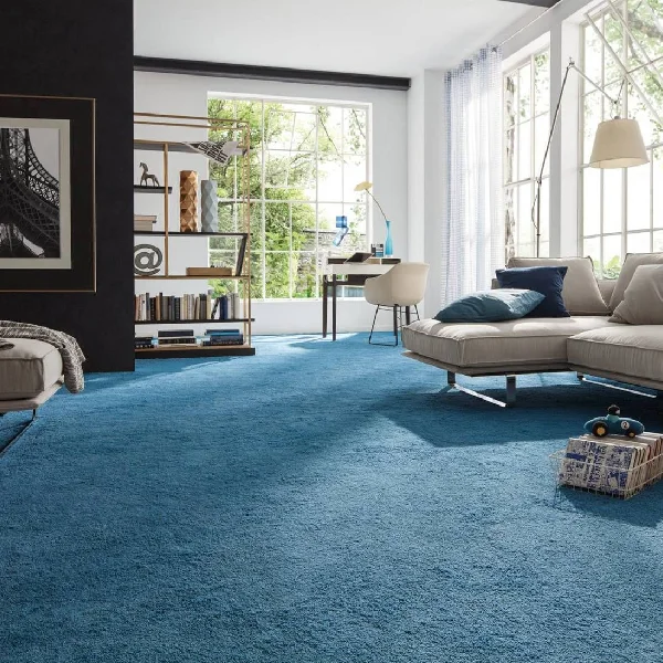 Wall-to-wall vibrant blue shag carpet in a bright living room