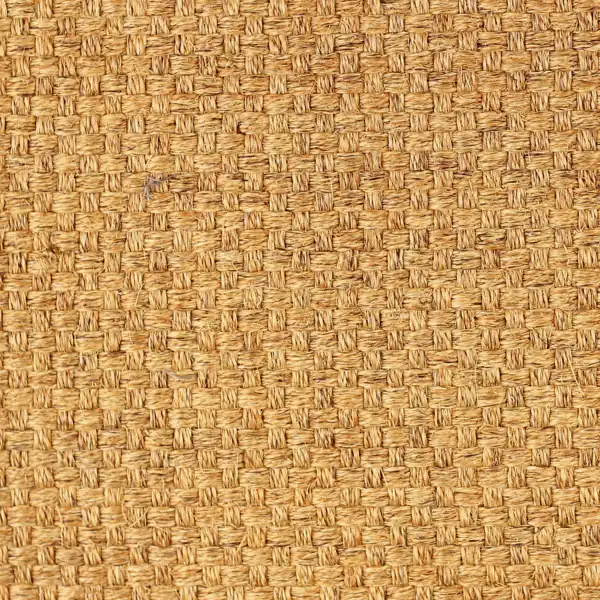 natural sisal carpet with square woven pattern in tan tones.